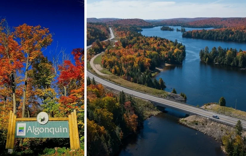 Algonquin Park sign with vibrant foliage and lake view in the background