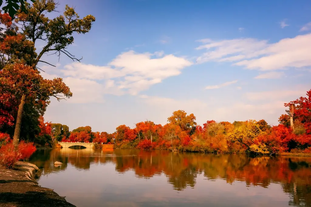 Scenic autumn river with colorful fall foliage and stone bridge reflection