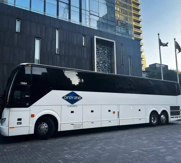 Professional Gray Line charter bus parked outside a modern building, showcasing our premium fleet available for corporate and group transportation