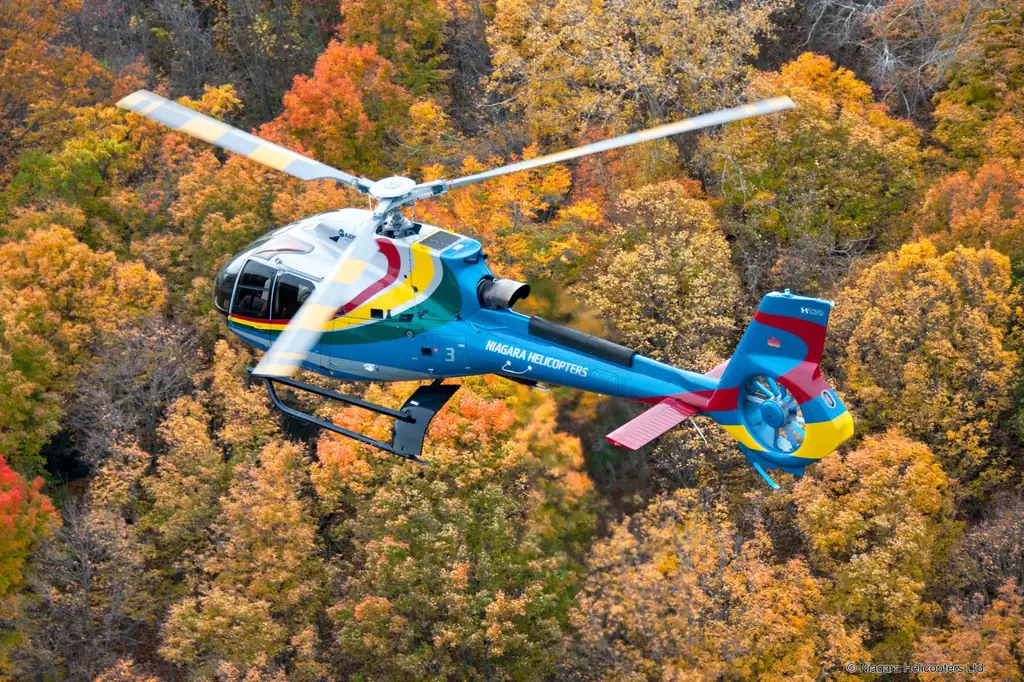 Niagara Helicopters flying over golden fall trees