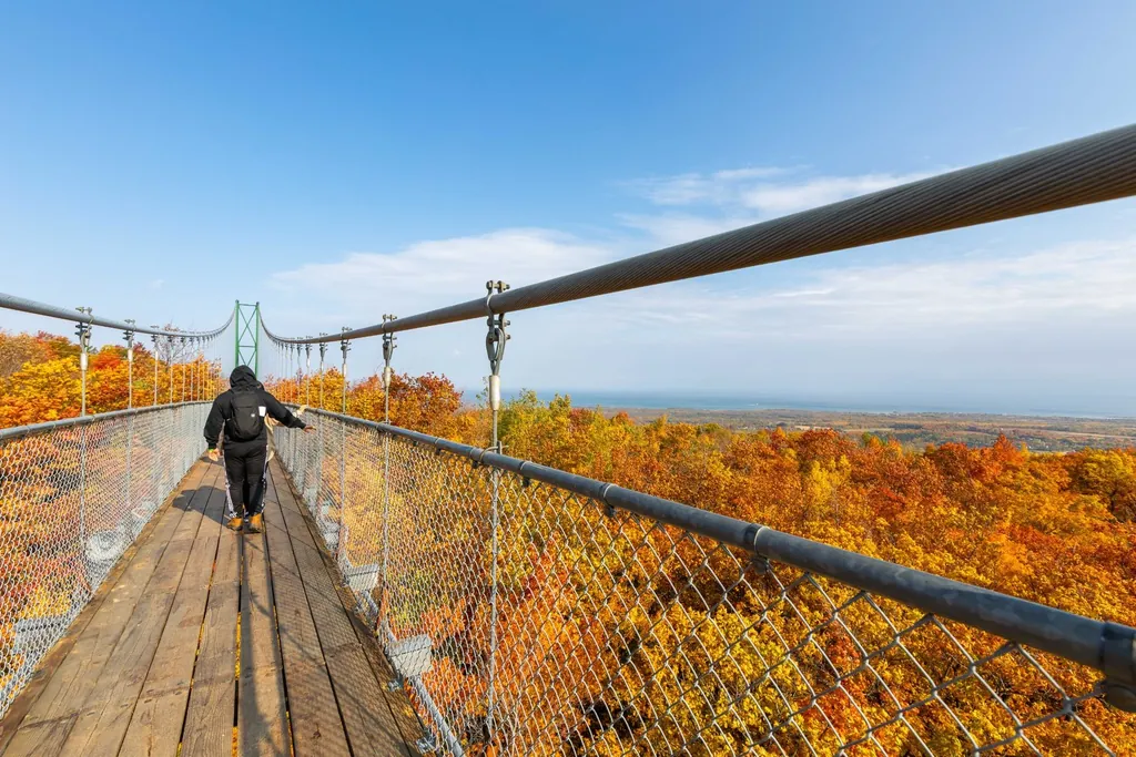 Visitor crossing a suspension bridge surrounded by brilliant fall foliage at Blue Mountain.