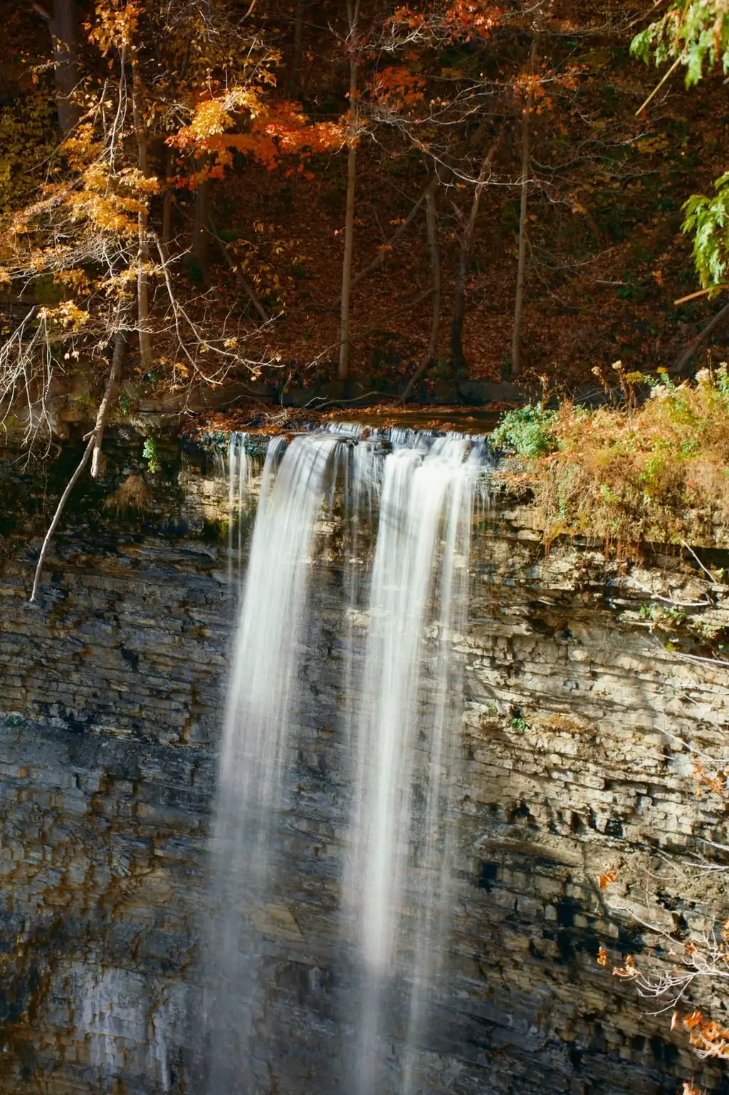 Tews Falls cascading over rocky cliffs surrounded by autumn foliage in Hamilton