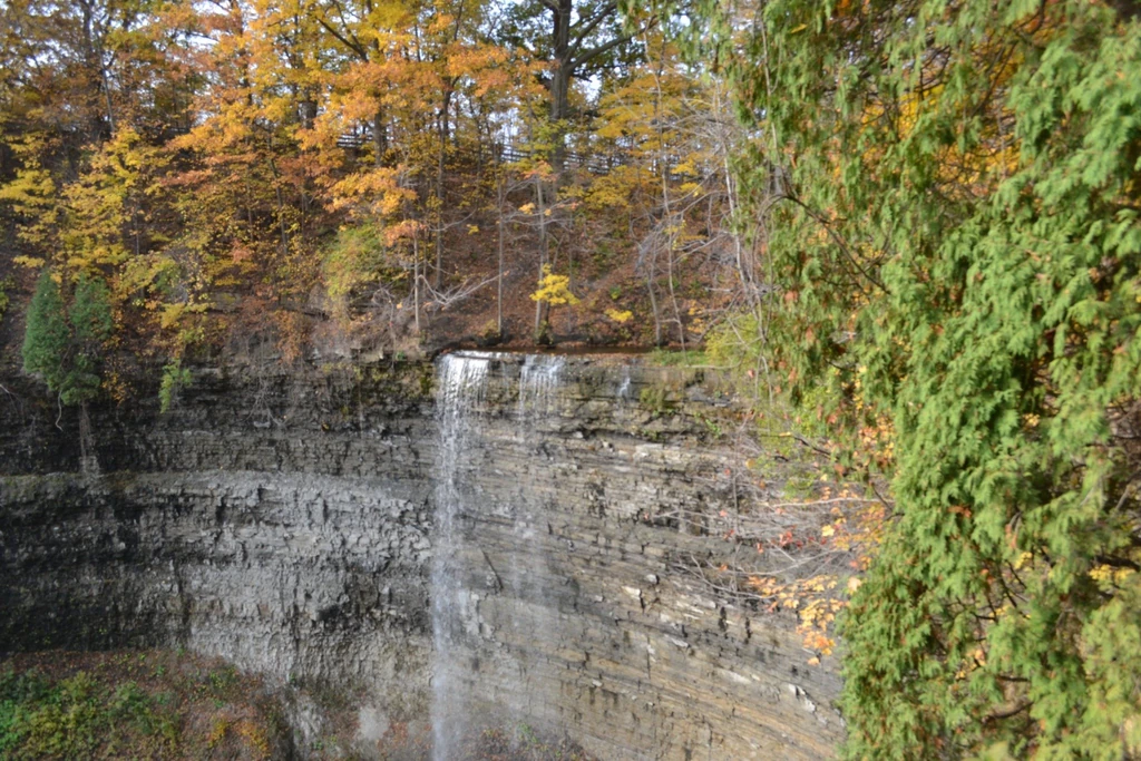 Tews Falls waterfall cascading down rocky cliffs surrounded by vibrant autumn foliage in Hamilton