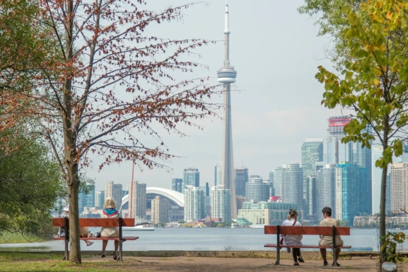 Toronto afternoon skyline with beautiful park bench views